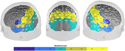 The Positive Brain – Resting State Functional Connectivity in Highly Vital and Flourishing Individuals